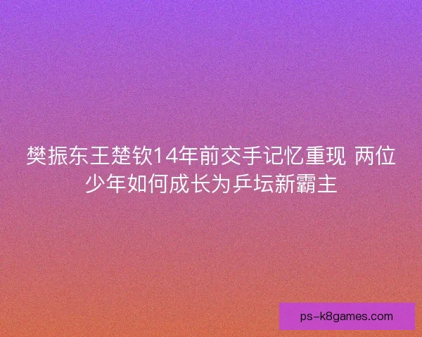 樊振东王楚钦14年前交手记忆重现 两位少年如何成长为乒坛新霸主 樊振东王楚钦14年前交手记忆重现 两位少年如何成长为乒坛新霸主