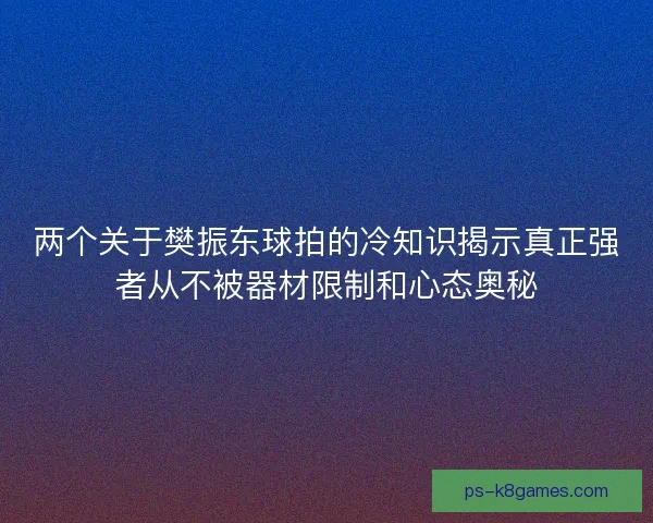 两个关于樊振东球拍的冷知识揭示真正强者从不被器材限制和心态奥秘